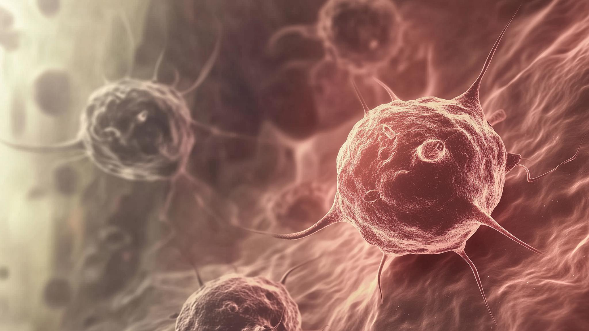 A microscopic view of virus or cancer cells with spiky structures, floating in a biological environment, symbolizing disease or medical research.