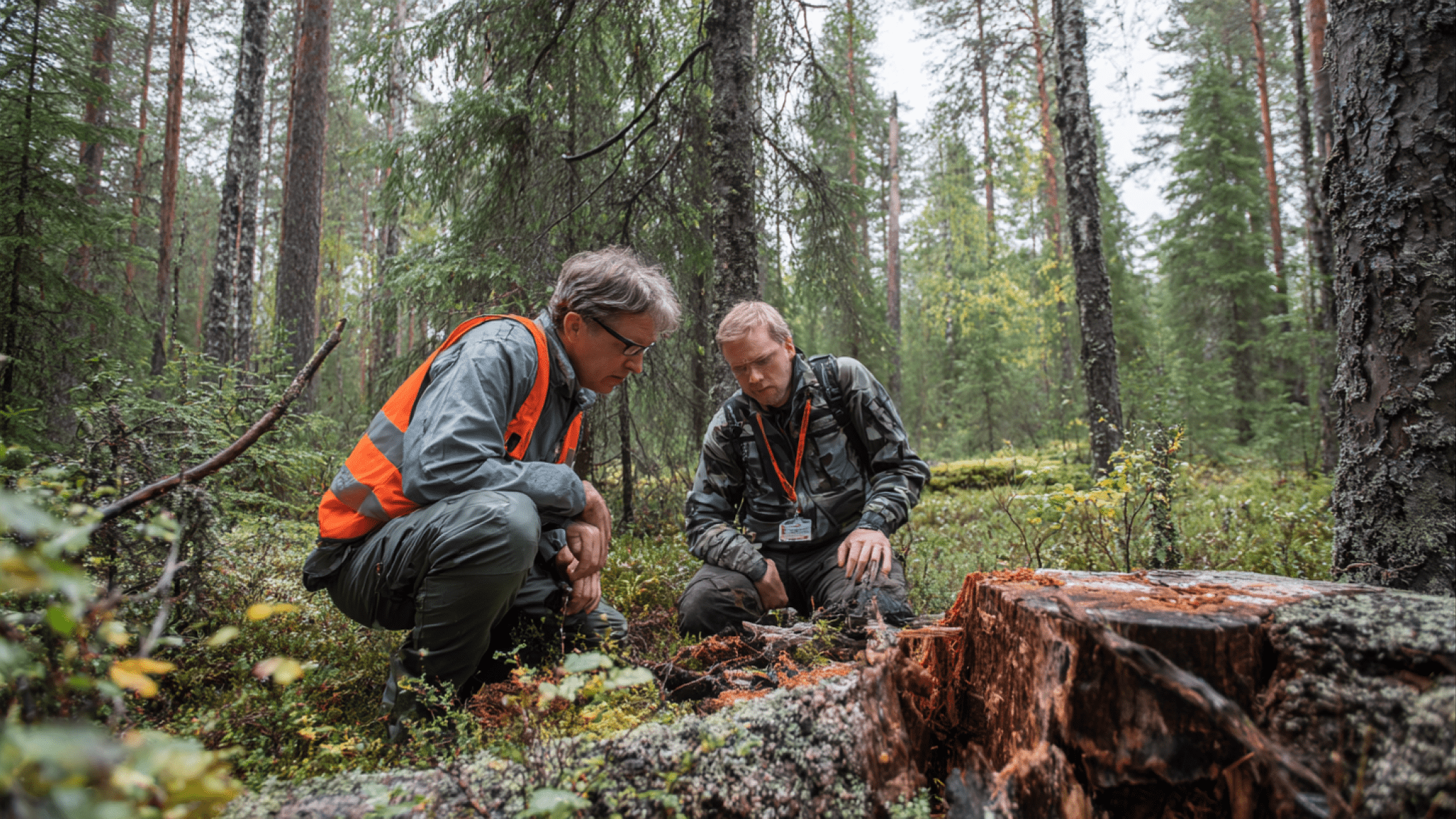 Två män som sitter på huk i skogen