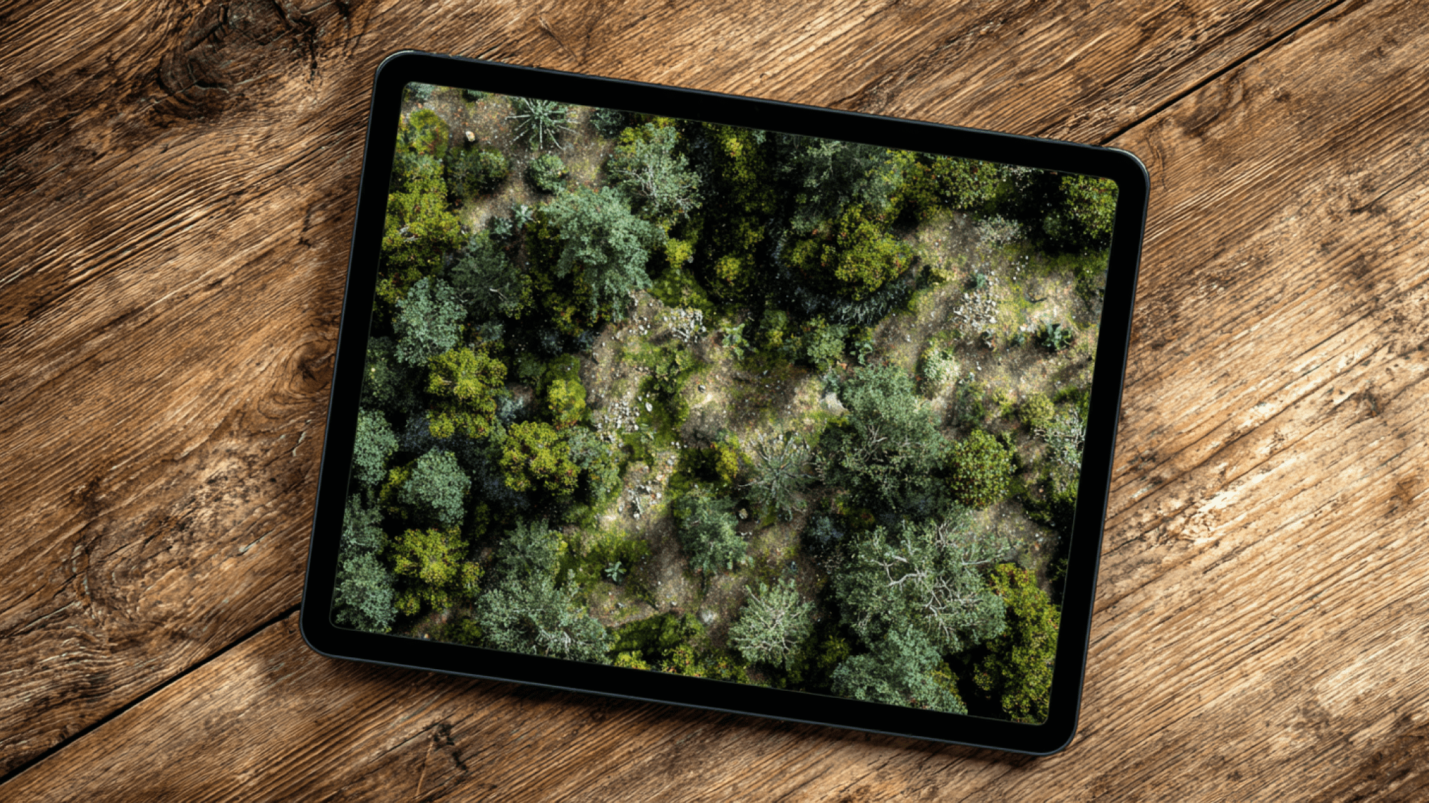 Skogsbild på läsplatt som ligger på plankor av trä