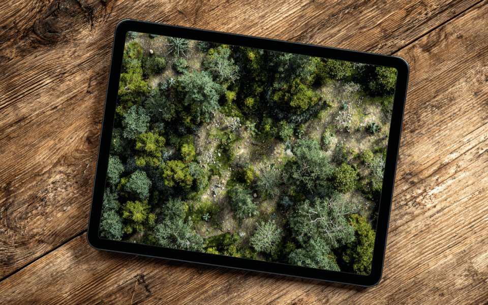 Skogsbild på läsplatt som ligger på plankor av trä